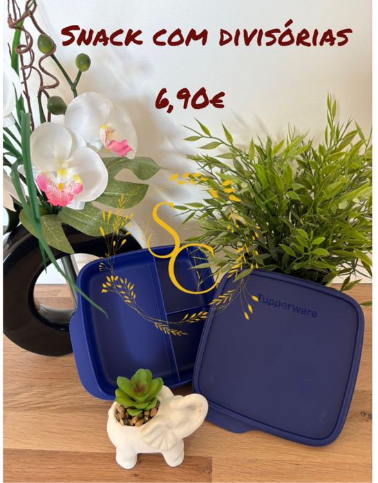 Snack com divisorias - tupperware