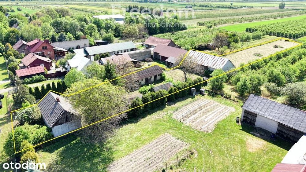 Działka budowlana 31ar z domem i budynkami - Widok 5