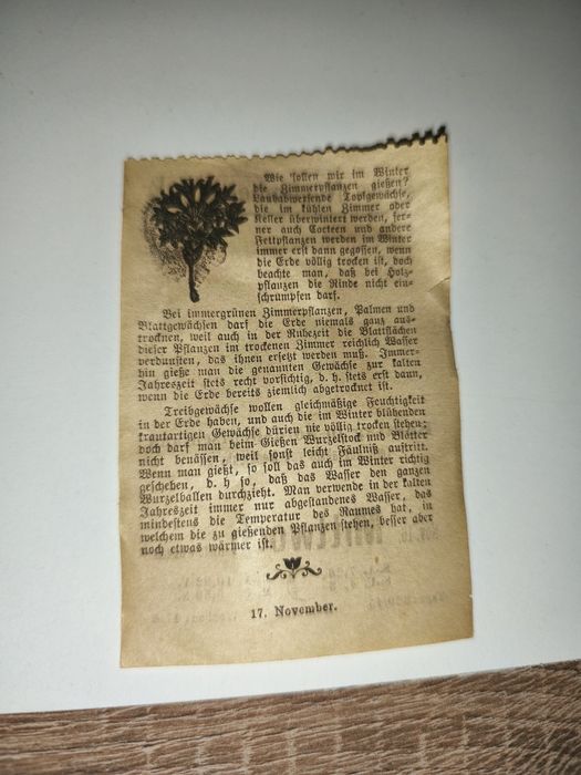 Stara kartka z kalendarza 1898 rok antyk