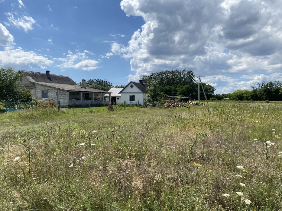 Продається земля в Новій Любомирці - View 4