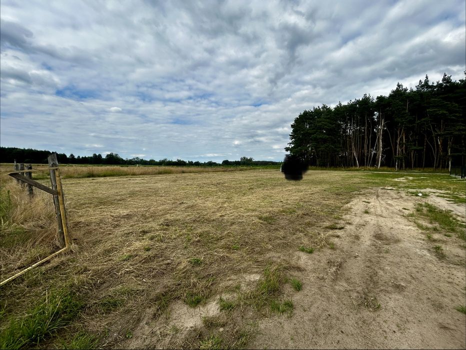 Działka na sprzedaż Szczaniec - Widok 2