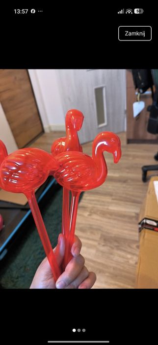 Nawadniające rośliny flamingi 3 szt
