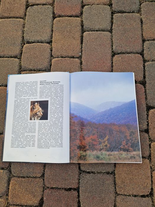Książka Karpaty Wchodnie