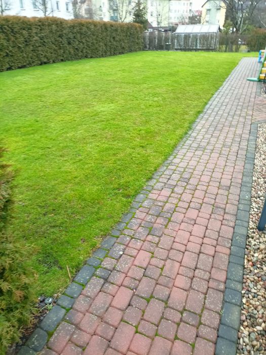 usługi ogrodnicze prace ziemne wycinka niwelacje