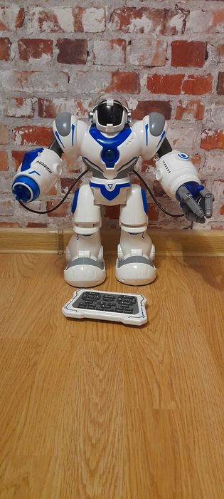 Interatywny robot