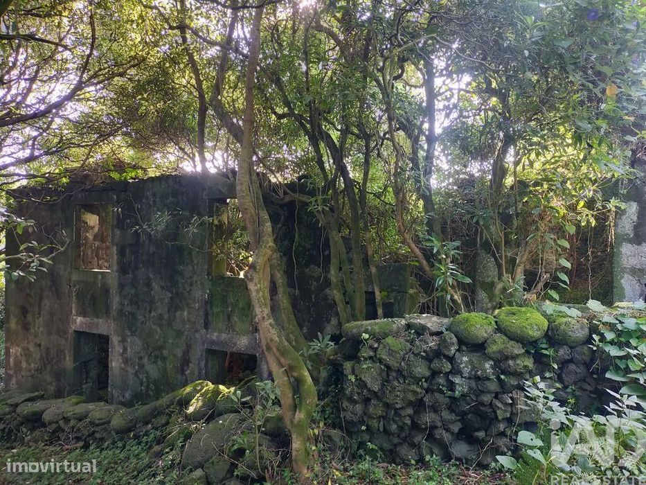 Casa T3 em São João de 212,00 m2