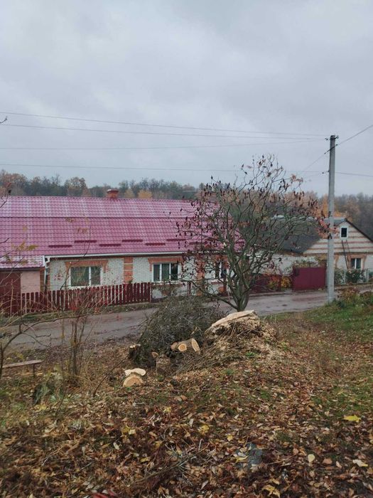 Спил та видалення дерев, підрізка