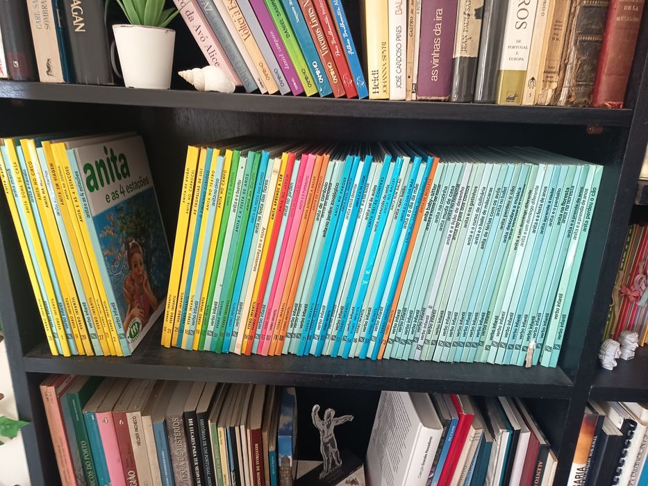 Livros da Anita anos 80