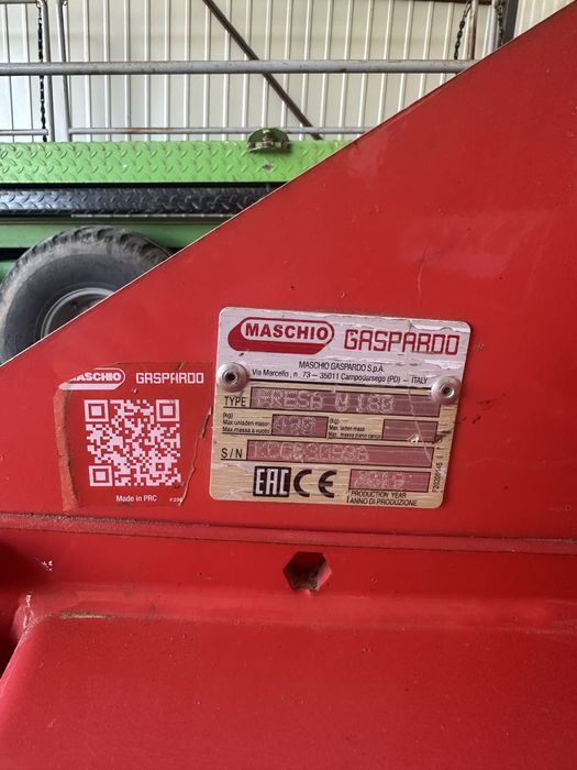 Glebogryzarka sadownicza maschio