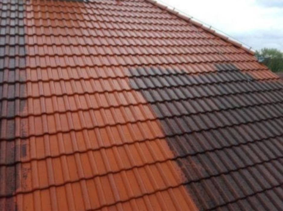 Mycie i Malowanie dachów i elewacji