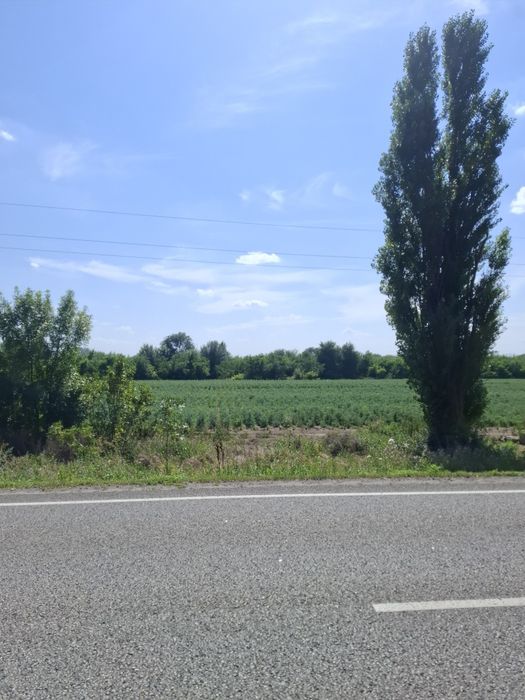 Продам ділянку 15 соток.