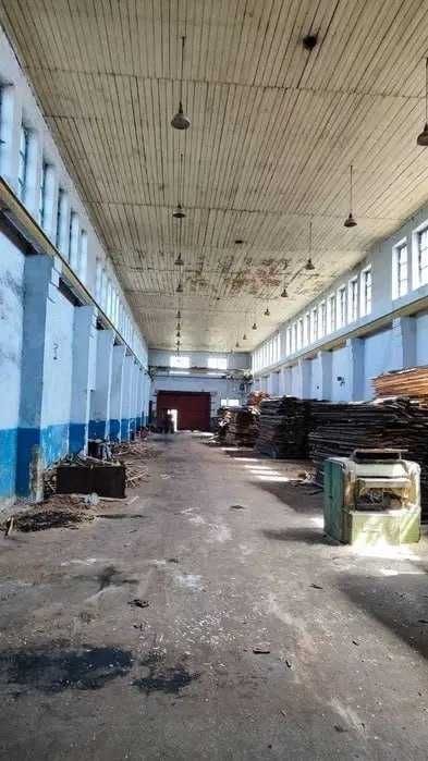 Продається комерційний,великий виробничий комплекс 6 000+ М² | 8 ГА | 8,5 М СТЕЛІ - Вид 4