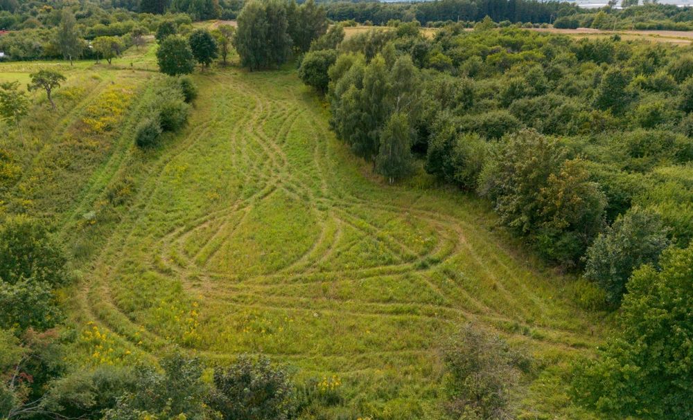 Działka rolna 1 H. Łęcze wysoczyzna elbląska - Widok 4