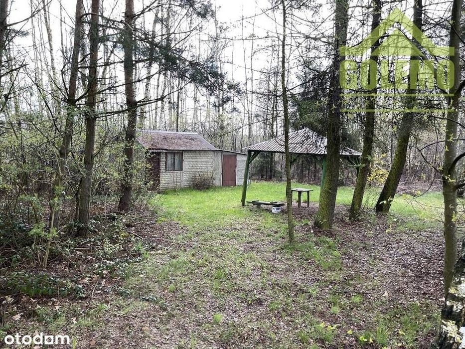 Działka Budowlano-Rekreacyjna / 8900 m² / Łochynia - Widok 4