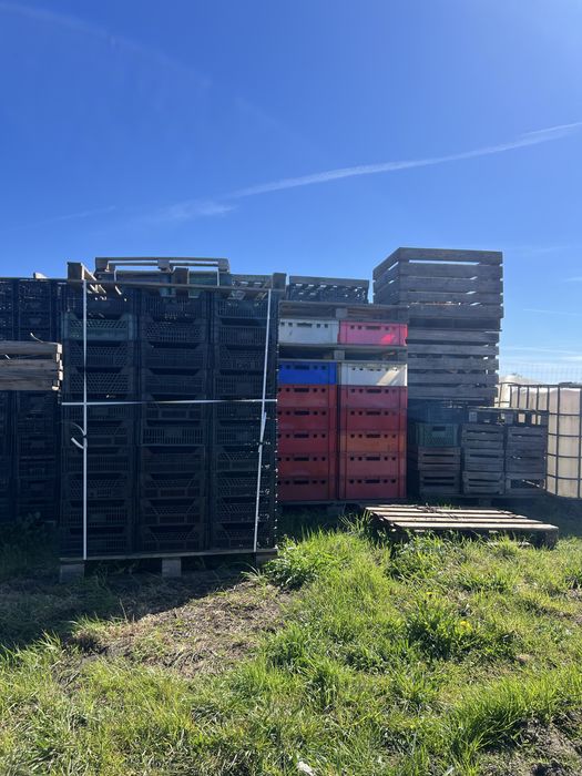 SKRZYNKI PLASTIKOWE - różne rozmiary/rodzaje. (Duża ilość)