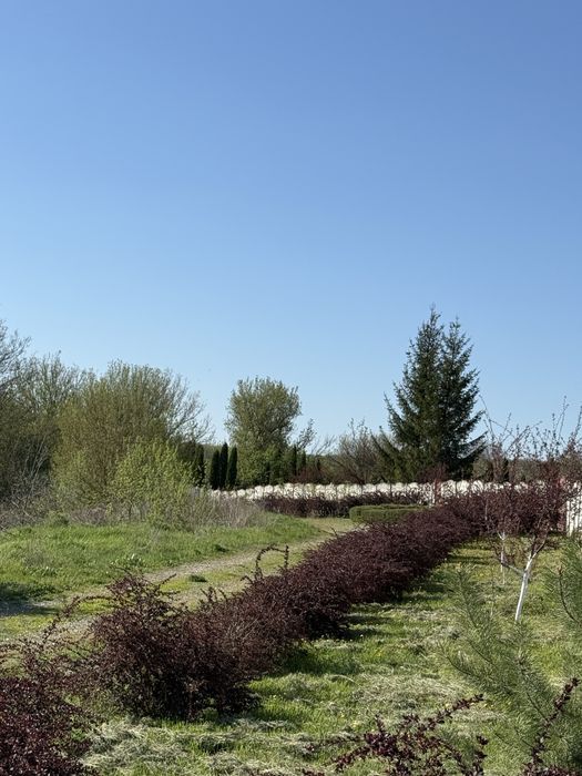 ВЛАСНІ земельні ділянки селище Високий