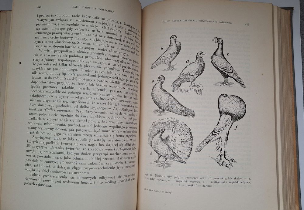 Idea ewolucji w biologii, Józef Nusbaum  tom I