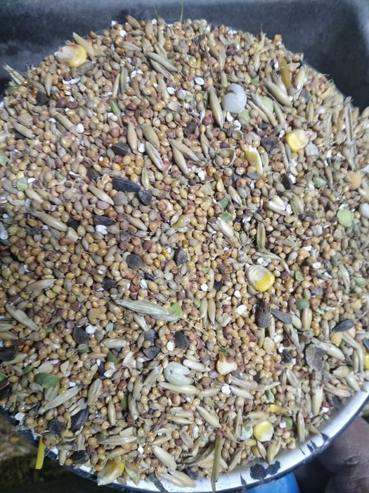 Мішанка для птиці та голубів
