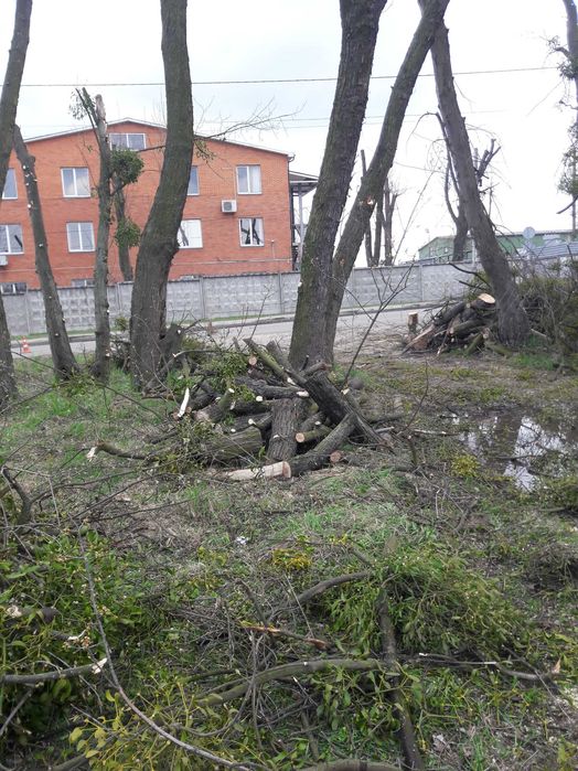 Прибирання території Спил дерев Демонтаж Розчистка ділянки