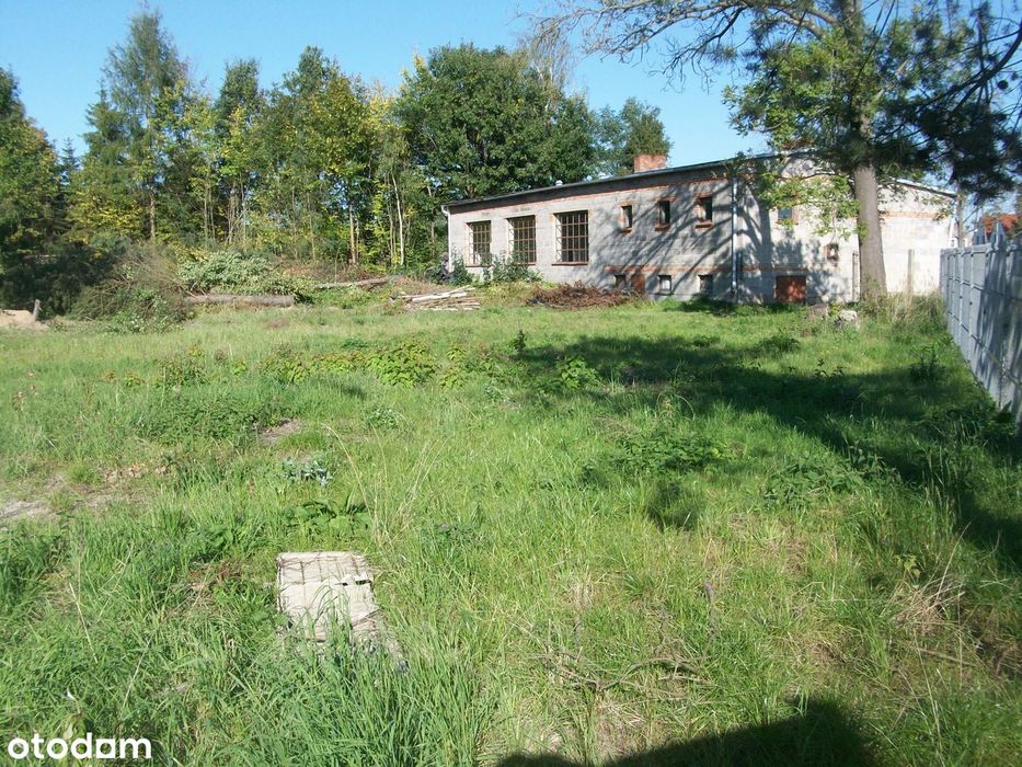 Działka Inwestycyjna 4620M2+Hala Warsztat 220M2 Przy Traśie Dk25 - Widok 5