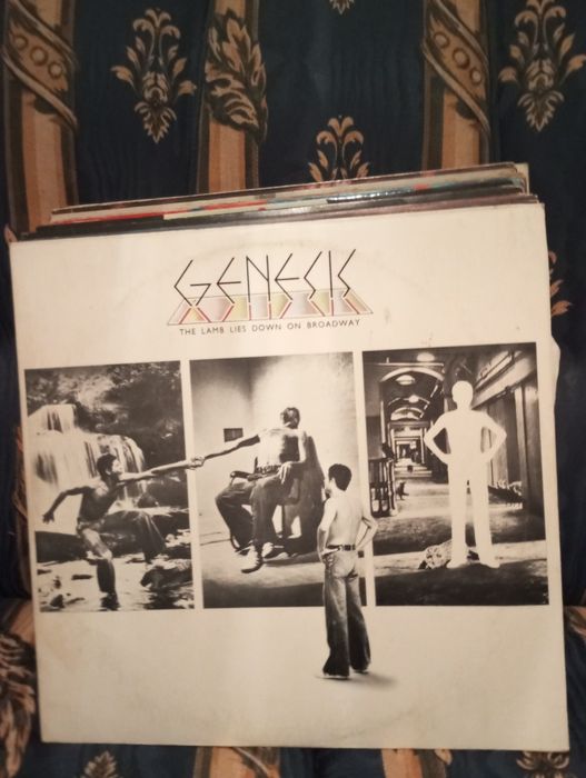 Lote de discos vinyl