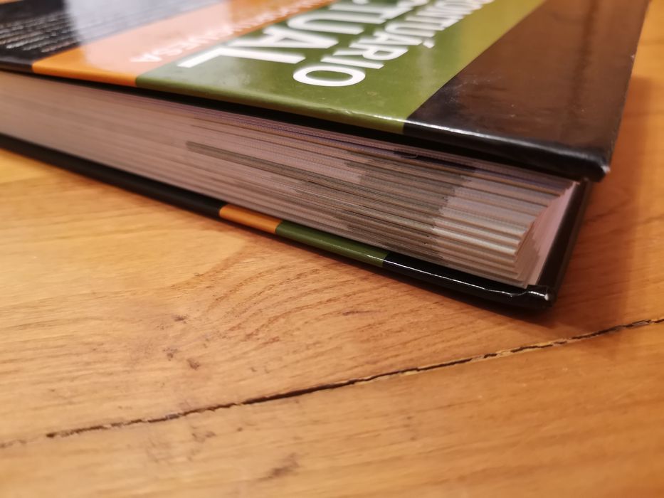 Livro Prontuário Actual da Língua Portuguesa