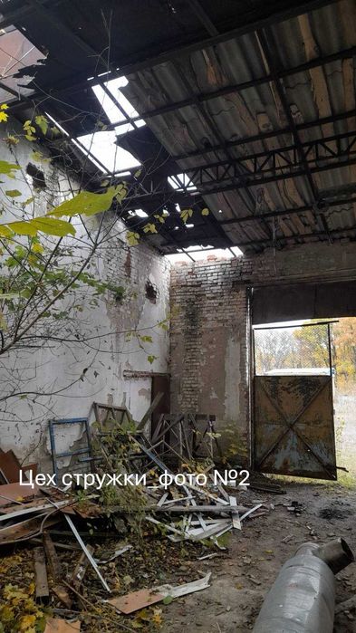 Цех стружки та цех хвойного екстракту площею 1289 кв.м, Волинська обл.,