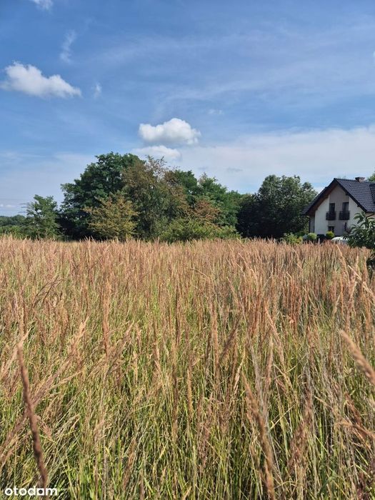 Sprzedam działkę w Balinie - z Warunkami Zabudowy - Widok 3