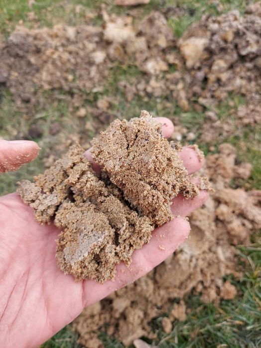 Geolog: Opinia geotechniczna, Odwierty, Badnia Gruntu, Hydrogeologia