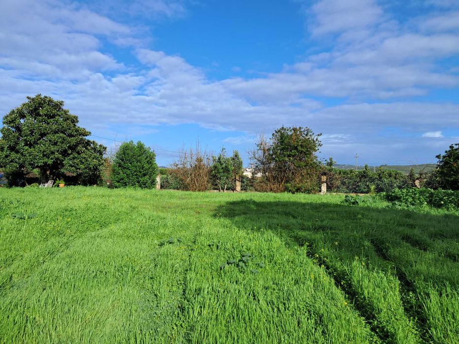 Alugo terreno para autocaravana