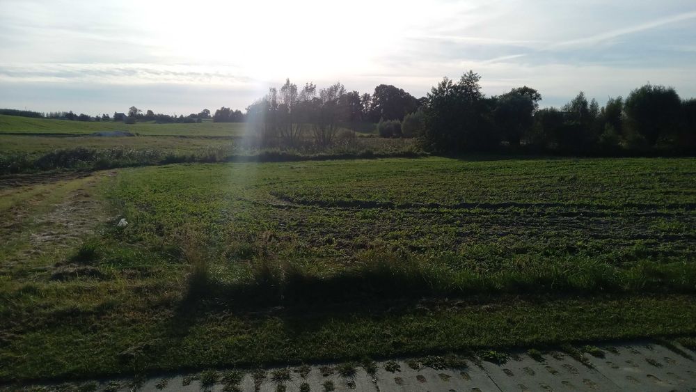 Działka budowlana Koślinka Sztum Malbork - Więcej