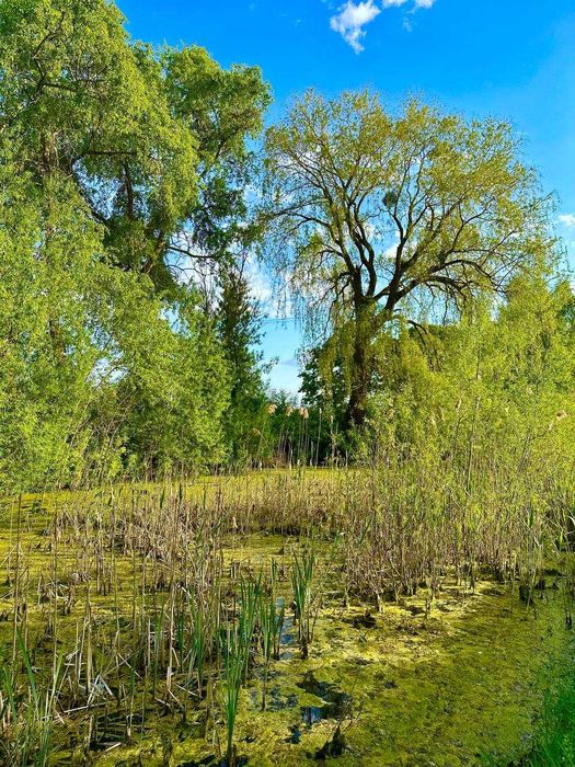 Розкішна, величезна ділянка з будинком, річкою та ставом (Луцький р-н)
