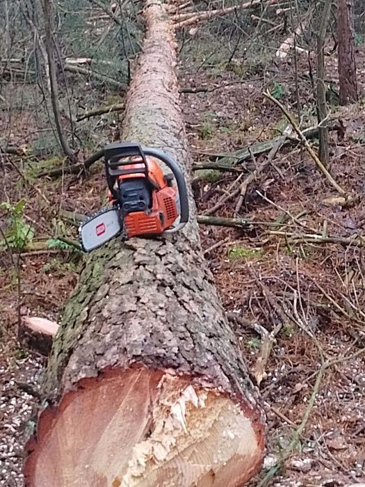 Sprzedam drzewo tartaczne Kłoda.dłuzyca.paleta