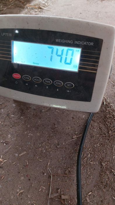 Sprzedam Bele Sianokiszonki I Kukurydzy Likwidacja Gospodarstwa