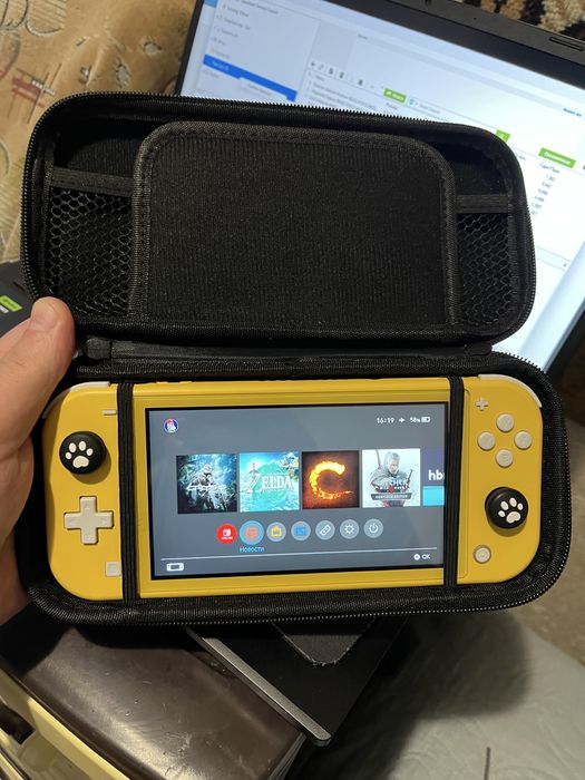 Nintendo switch lite