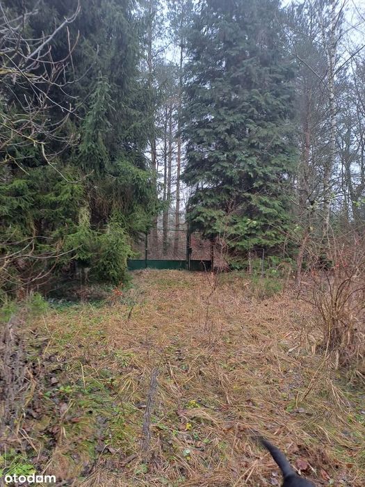 Działka budowlana w Zofiówce, idealna na wypoczynek blisko Łodzi