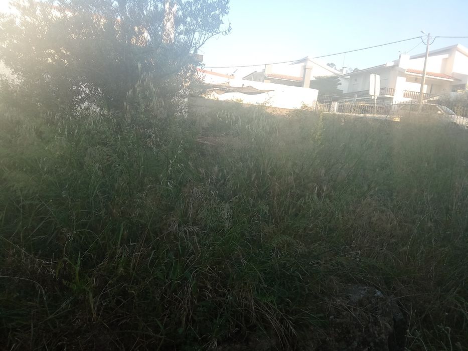 Limpeza de terrenos,jardins entre outros