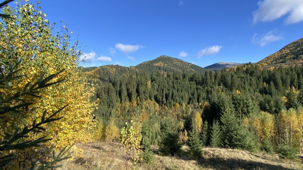 Земля під будову, межує з лісом, гарний доїзд