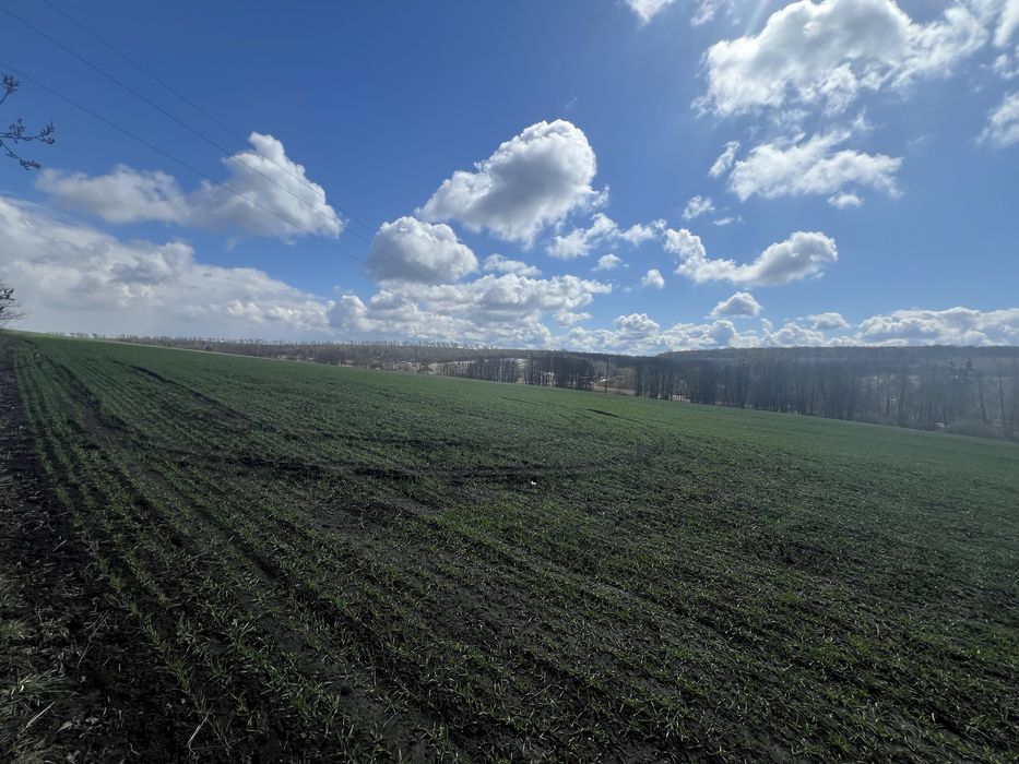 Продаж земельної ділянки, ПРИВАТИЗОВАНА. Масив Європейський. 2 Га