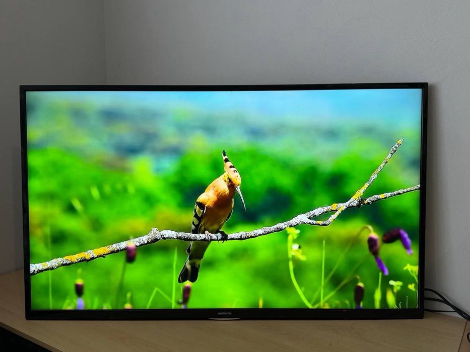 Телевізор MEDION  55″ Full HD/Smart TV