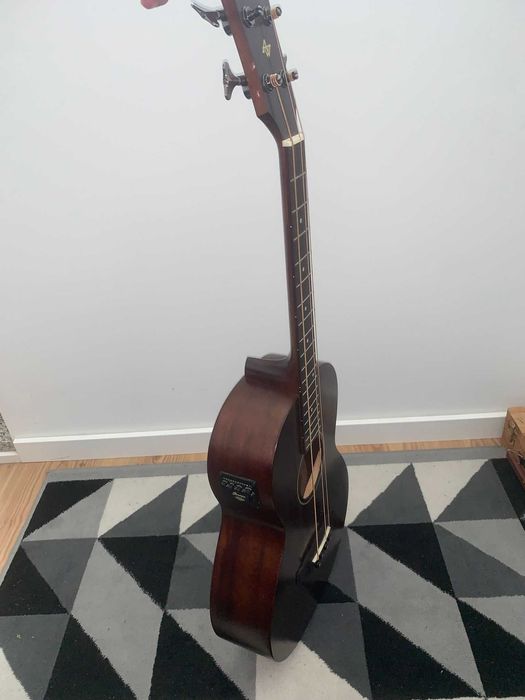 Baixo Semi Acustico e Saco