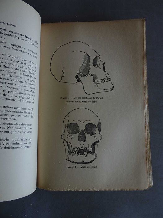 Livro Anibal Mattos - O Sábio Dr. Lund e Pré-história Brasileira 1935