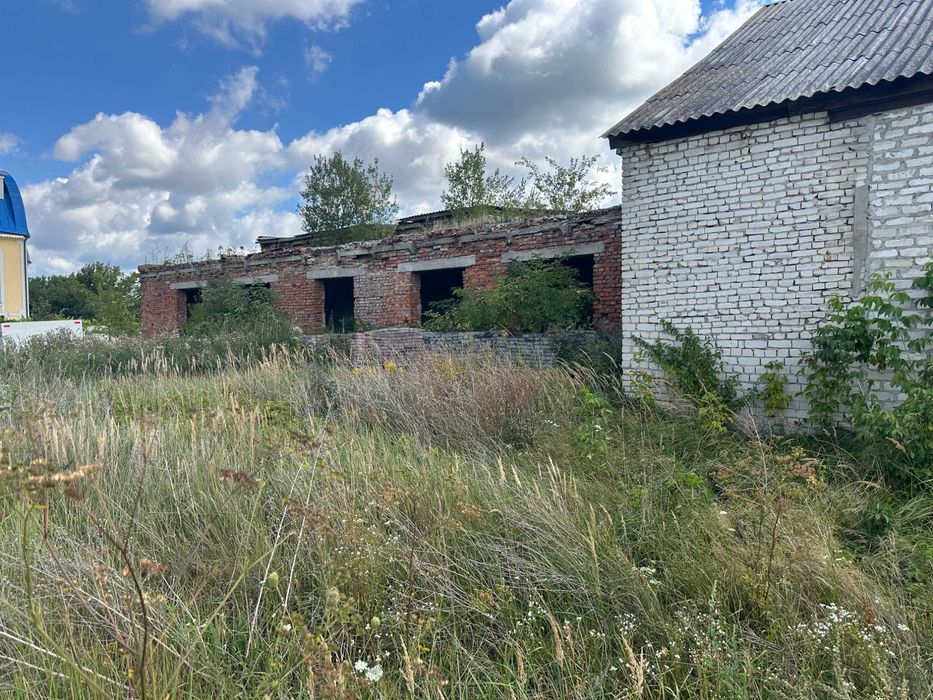 Продам приватизовану земельну ділянку 1,2 га