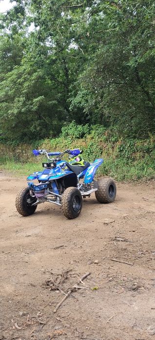 Yamaha warrior 350