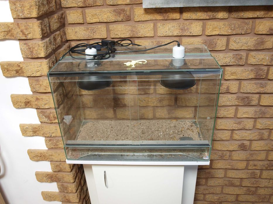 Terrarium szkło 60x30x40 z oświetleniem.