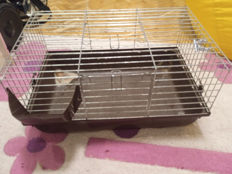 Клітка для кроликів дикоротивних