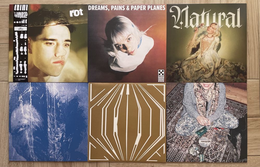 6x Vinil (Rock/Indie/Originais)