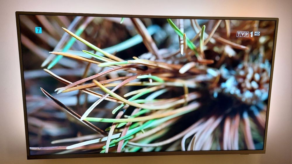 Philips 49" 4K Ambilight | 120Hz | Matryca NanoCell | Metal & Szkło | HEVC 05.2026