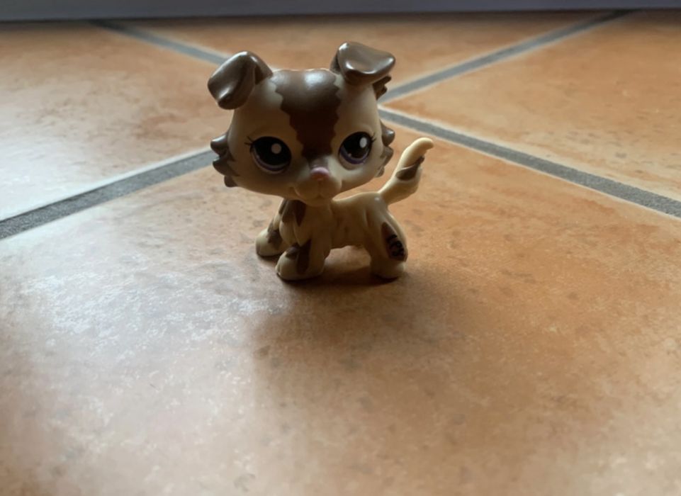 Littlest pet shop