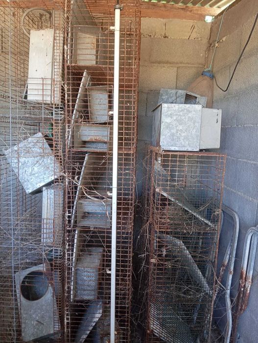 Jaulas criação Coelho